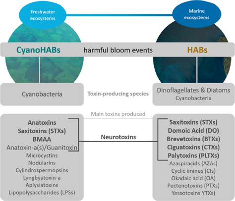 The Definitive Overview of Toxin R9 Core Aspects