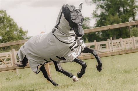 The Delightful Challenges of Caring for Your Equine Partner