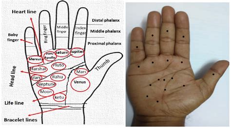 The Different Meanings Acknowledged with a Mole on Your Palm Across Diverse Cultures