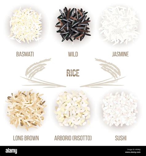 The Diverse Types of Rice: From Long Grain to Arborio