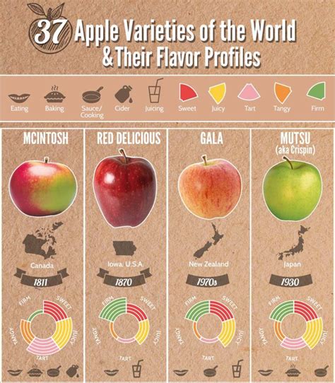 The Diversity of Apple Varieties and Their Flavors