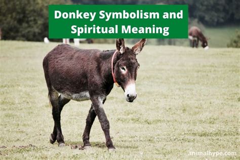 The Donkey as a Symbol of Humility and Simplicity