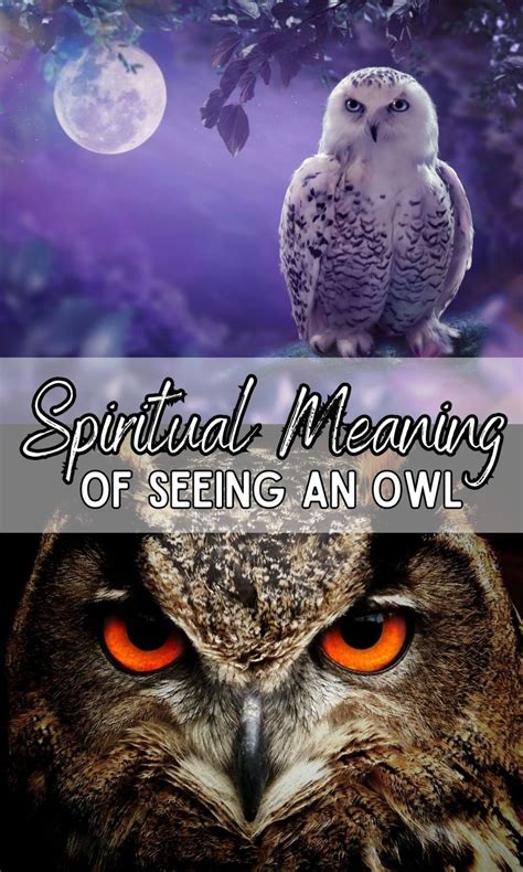 The Dynamic Symbolism of the Enormous Owl in Various Cultures