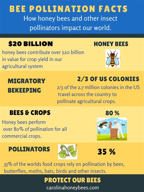 The Economic Impact of Killer Bees on Agriculture and Beekeeping