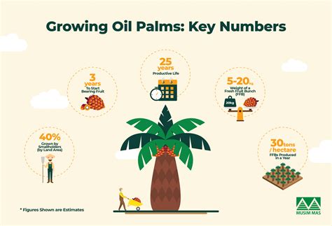 The Economic Significance of Palm Trees: From Dates to Palm Oil