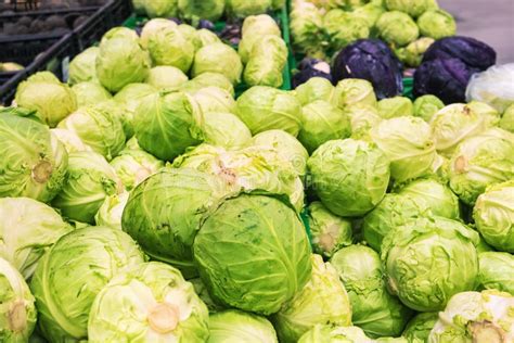 The Economics of Fresh Cabbage: Understanding the Market Value