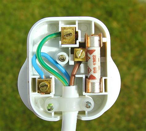 The Electric Plug as a Metaphor for Connection and Interdependence