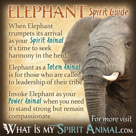 The Elephant's Significance in African Folklore and Beliefs