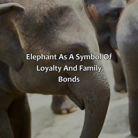 The Elephant as a Symbol of Loyalty and Family Bonds