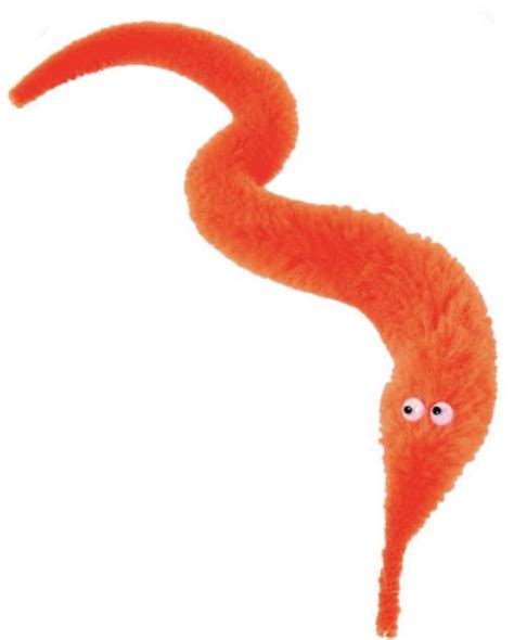 The Elusive Orange Worm: A Fascinating Enigma