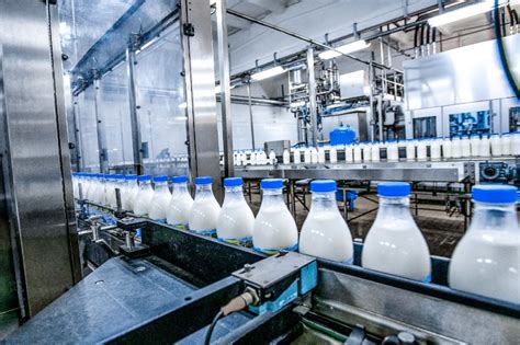 The Emergence of Customization: Exploring the Trend in the Dairy Sector