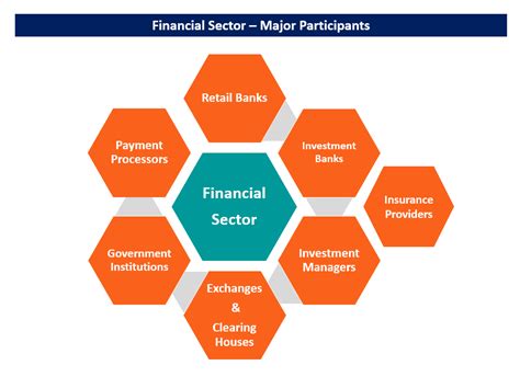 The Emergence of Financial Institutions in the Financial Sector