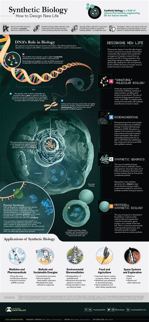 The Emergence of Synthetic Creatures in Science and Technology