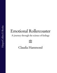 The Emotional Journey: Navigating the Rollercoaster of Feelings Throughout this Challenging Path