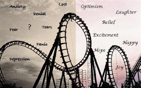 The Emotional Roller Coaster: Fear, Anguish, Desperation