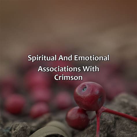 The Emotional and Sensory Associations of Crimson Beverage