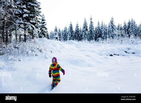 The Enchanting Beauty of Snow: Exploring Winter's Wonderland