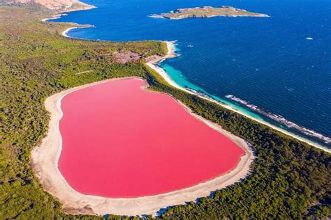 The Enchanting Beauty of the Pink Sea: A Natural Phenomenon