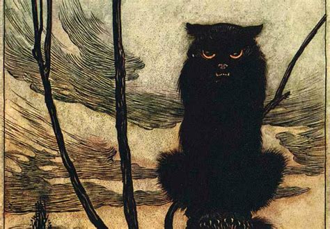 The Enchanting History of Snowy Felines in Folklore and Mythology