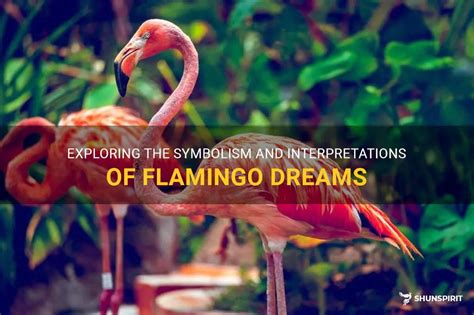 The Enchanting Realm of Flamingos