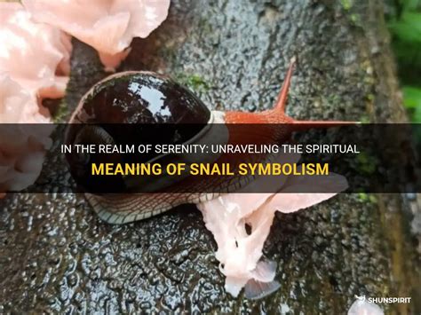 The Enchanting Realm of Snails: Exploring the Intricacies from Science to Symbolism