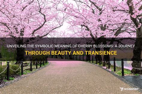 The Enchanting Significance of Blush Blossoms: Unveiling the Sentimental Message Conveyed by Soft Red Petals