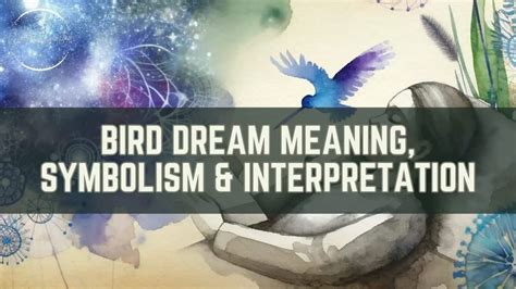 The Enchantment of Bird Dream Symbolism