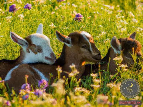 The Enchantment of Dark Newborn Goats: Revealing the Symbolic Significance