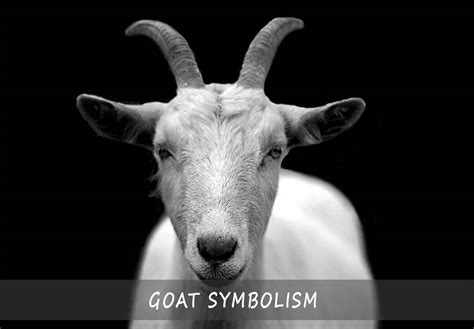 The Enchantment of Guiding Goats: An Inquisition into its Symbolism and Significance