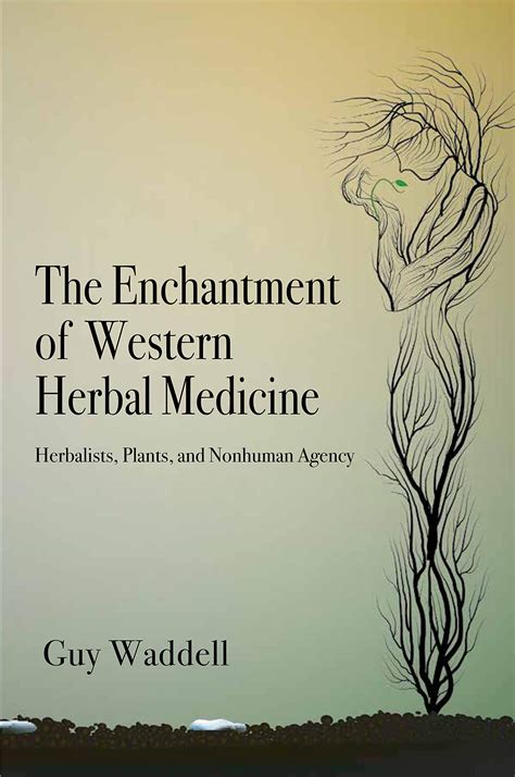 The Enchantment of Herbal Remedies