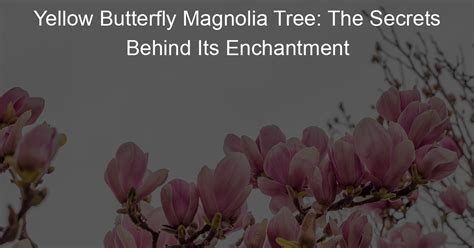 The Enchantment of the Blossom Tree