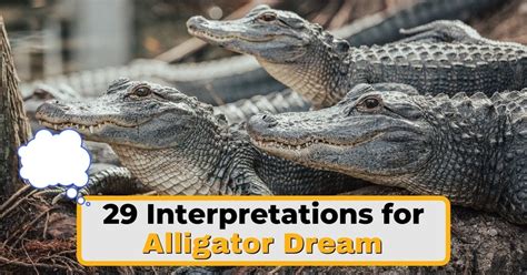 The Enchantment with Alligators in Dreams