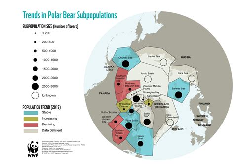 The Endangered State of the Polar Bear Population