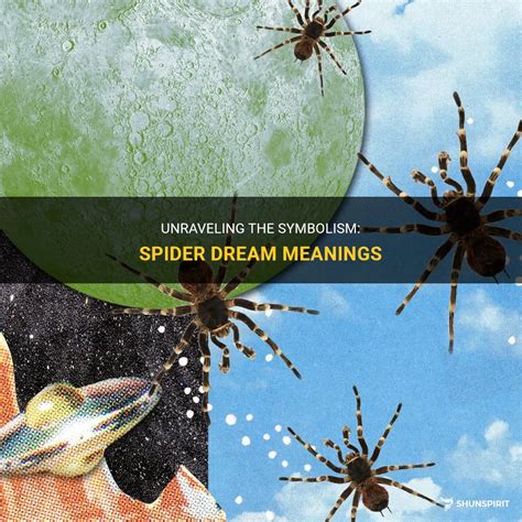 The Enigma of Spider Dreams: Unraveling Their Symbolic Meaning