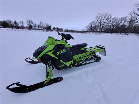 The Enigma of the Arctic Cat