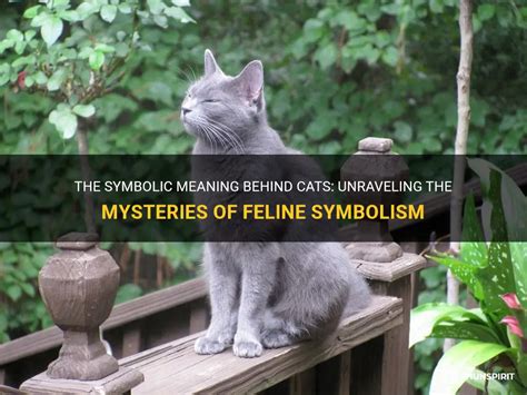 The Enigma of the Azure Feline: Exploring the Symbolic Connotations of the Cat