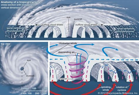 The Enigma of the Water Cyclone: A Comprehensive Analysis