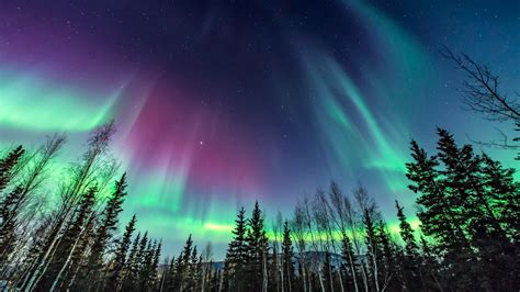 The Enigmatic Beauty of the Red Aurora Borealis