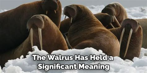 The Enigmatic Black Walrus: Uncovering its Esoteric Significance