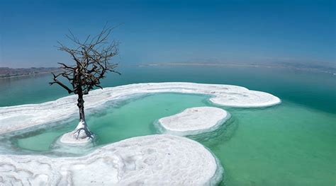 The Enigmatic Charms of the Astonishing Dead Sea