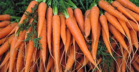 The Enigmatic Genesis of the Ivory Carrot