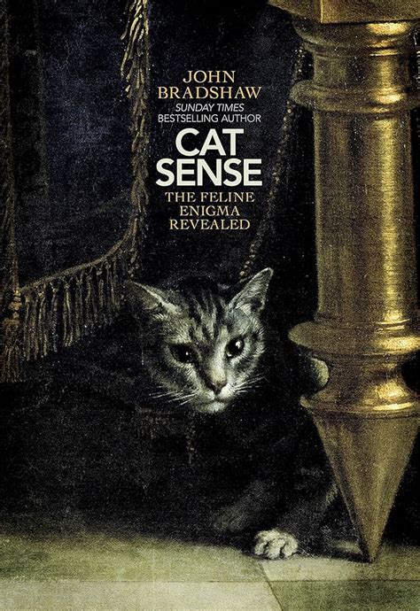 The Enigmatic Language of Dreams: Unveiling the Significance Behind Feline Mishaps