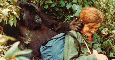 The Enigmatic Life of Daisy Fossey