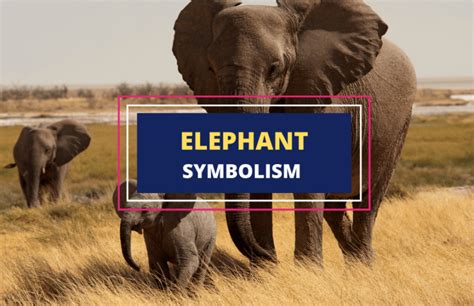 The Enigmatic Majesty: Decoding the Symbolism Behind the Majestic Elephant