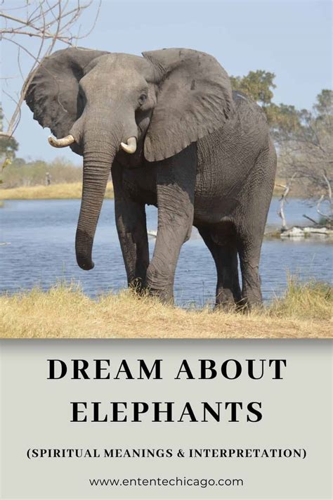 The Enigmatic Meaning of Dreaming about Elephants