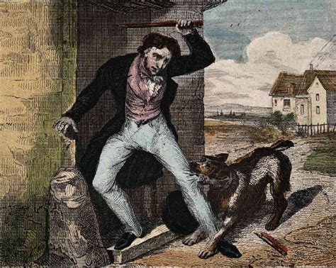 The Enigmatic Origins of Rabies