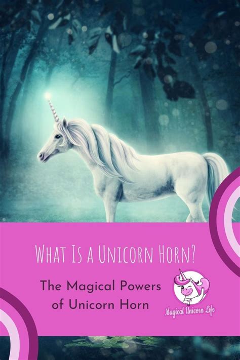 The Enigmatic Power of the Unicorn Horn