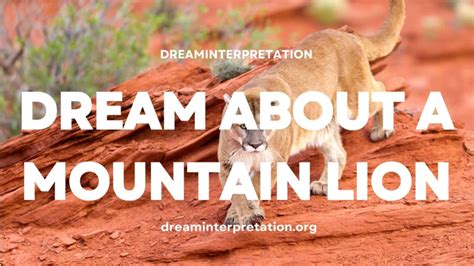 The Enigmatic Significance of Mountain Lions in Dreams