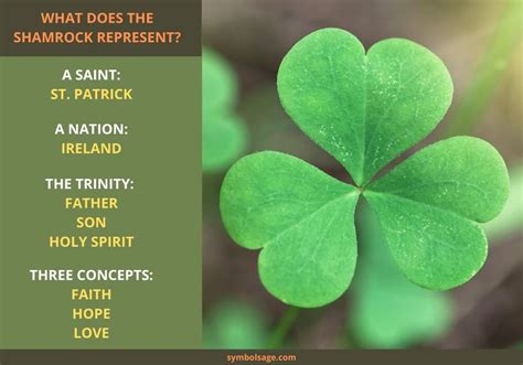 The Enigmatic Significance of Pure Leaf Shamrock