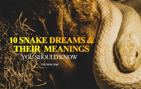 The Enigmatic Significance of a Cream Serpent in Dreams